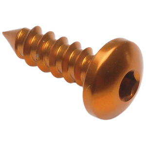 Self Tapping Screw 002 D=4,5x13 Ergal Gold