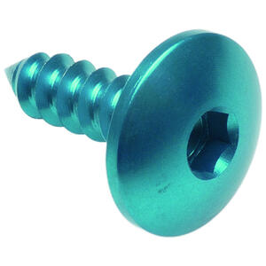 Self Tapping Screw 003 D=4,5x16 Ergal Blue