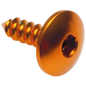 Self Tapping Screw 003 D=4,5x16 Ergal Gold