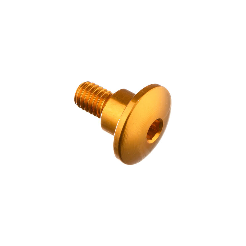 Special Screw M6 X 14,5 + Smooth Part D9,4 X 6 Oro