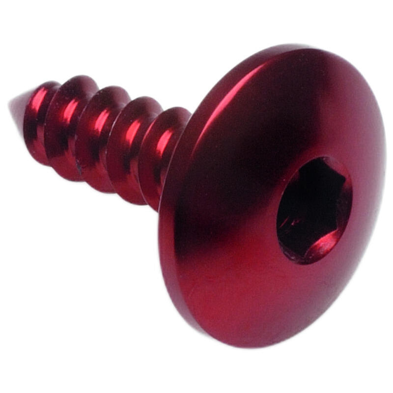 Self Tapping Screw 003 D=4,5x16 Ergal Rosso